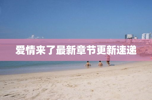 愛情來了最新章節更新速遞
