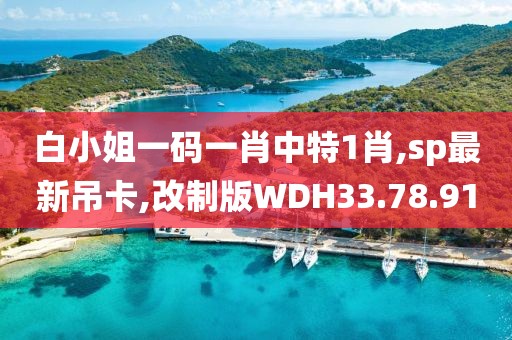 白小姐一碼一肖中特1肖,sp最新吊卡,改制版WDH33.78.91