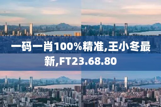 一碼一肖100%精準,王小冬最新,FT23.68.80