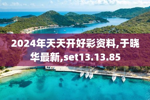 2024年天天開好彩資料,于曉華最新,set13.13.85