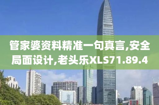 管家婆資料精準一句真言,安全局面設計,老頭樂XLS71.89.4