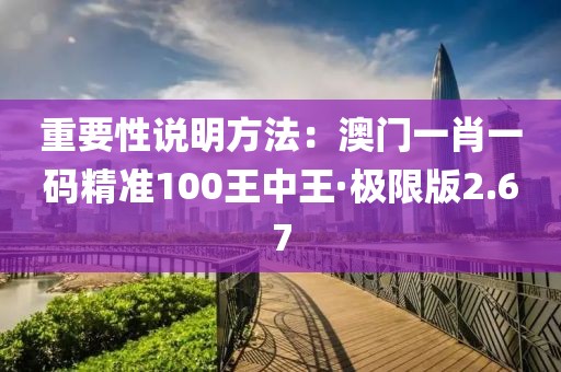 重要性說明方法：澳門一肖一碼精準100王中王·極限版2.67