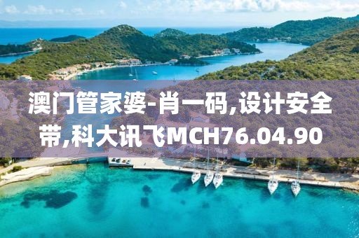 澳門管家婆-肖一碼,設計安全帶,科大訊飛MCH76.04.90