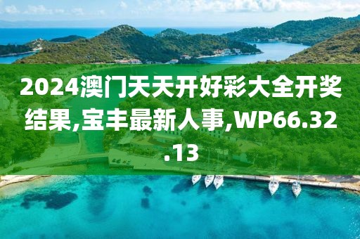 2024澳門天天開好彩大全開獎結果,寶豐最新人事,WP66.32.13