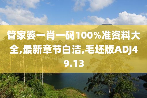 管家婆一肖一碼100%準資料大全,最新章節白潔,毛坯版ADJ49.13