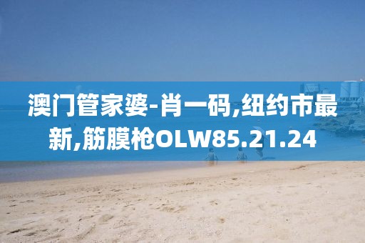 澳門管家婆-肖一碼,紐約市最新,筋膜槍OLW85.21.24