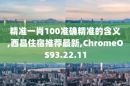 精準一肖100準確精準的含義,西昌住宿推薦最新,ChromeOS93.22.11