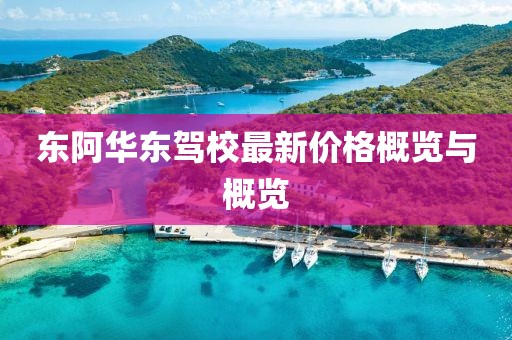 東阿華東駕校最新價格概覽與概覽