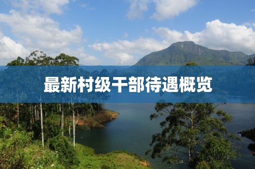最新村級干部待遇概覽