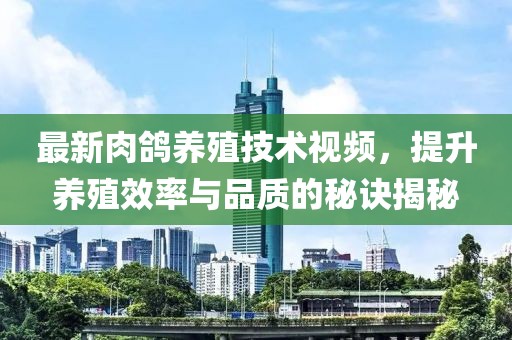 最新肉鴿養殖技術視頻，提升養殖效率與品質的秘訣揭秘