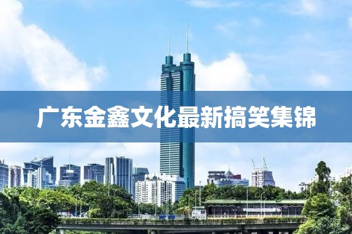 廣東金鑫文化最新搞笑集錦