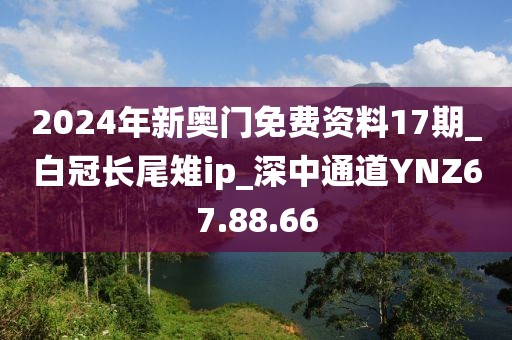 2024年新奧門免費資料17期_白冠長尾雉ip_深中通道YNZ67.88.66