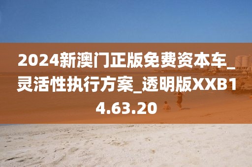 2024新澳門正版免費資本車_靈活性執行方案_透明版XXB14.63.20