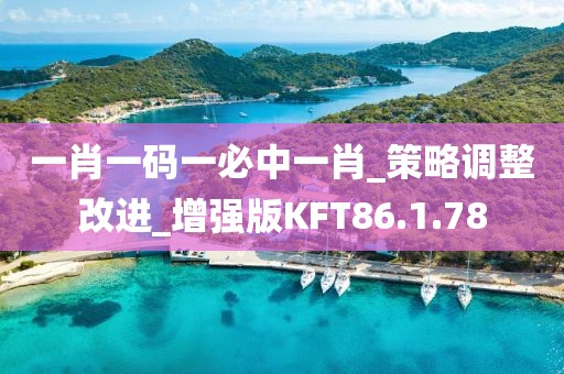 一肖一碼一必中一肖_策略調整改進_增強版KFT86.1.78