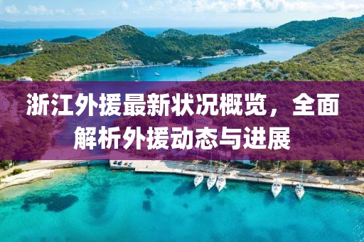浙江外援最新狀況概覽，全面解析外援動態與進展