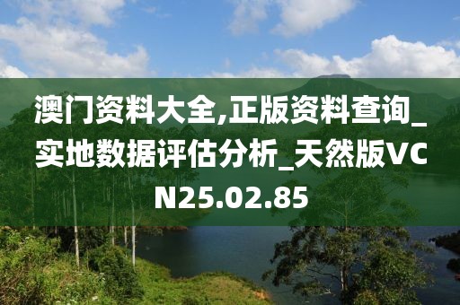 澳門資料大全,正版資料查詢_實地數據評估分析_天然版VCN25.02.85