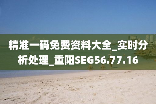 精準一碼免費資料大全_實時分析處理_重陽SEG56.77.16