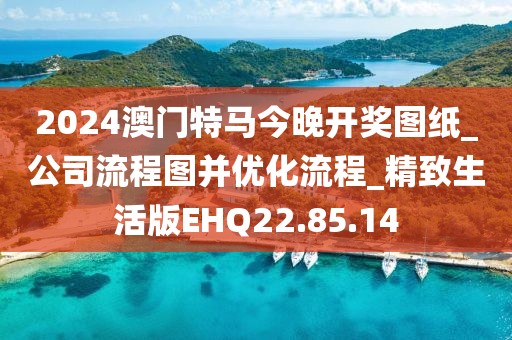 2024澳門特馬今晚開獎圖紙_公司流程圖并優化流程_精致生活版EHQ22.85.14