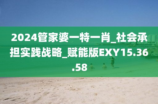 2024管家婆一特一肖_社會承擔實踐戰略_賦能版EXY15.36.58