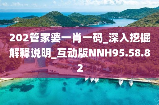 202管家婆一肖一碼_深入挖掘解釋說明_互動版NNH95.58.82