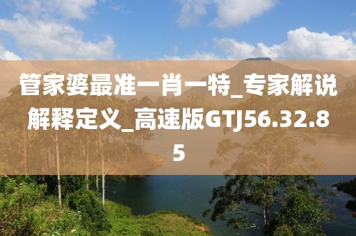 管家婆最準一肖一特_專家解說解釋定義_高速版GTJ56.32.85