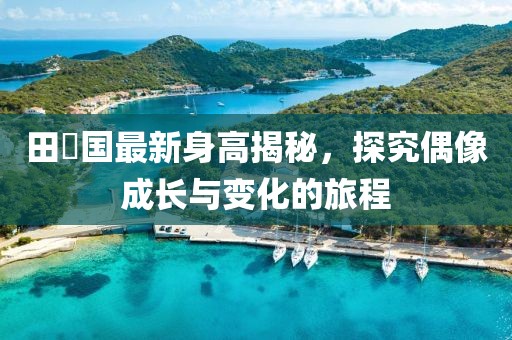 田柾國最新身高揭秘，探究偶像成長與變化的旅程