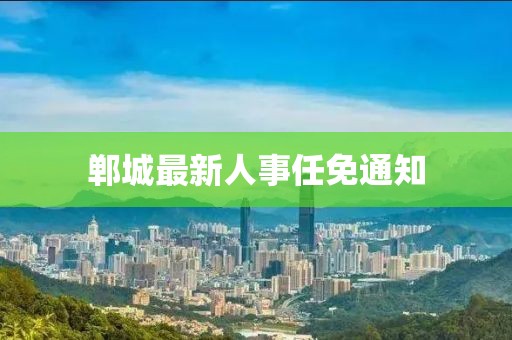 鄲城最新人事任免通知