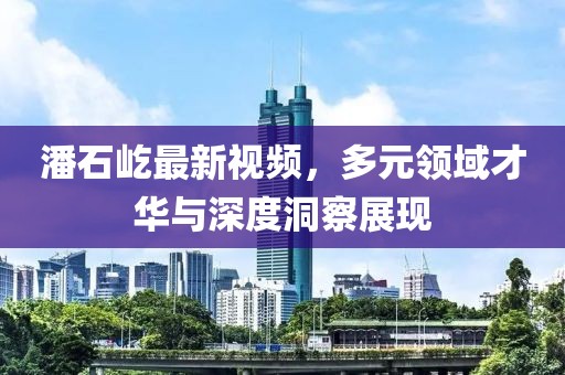 潘石屹最新視頻，多元領域才華與深度洞察展現