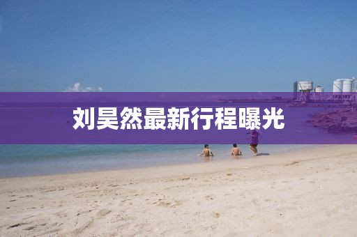 劉昊然最新行程曝光