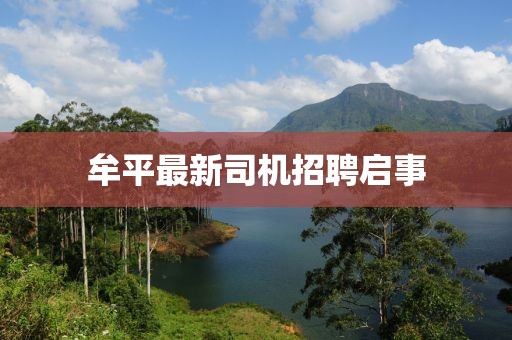 衡鵬運 第6頁