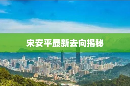宋安平最新去向揭秘