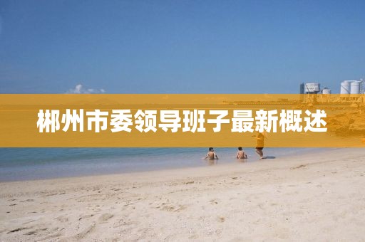 郴州市委領導班子最新概述