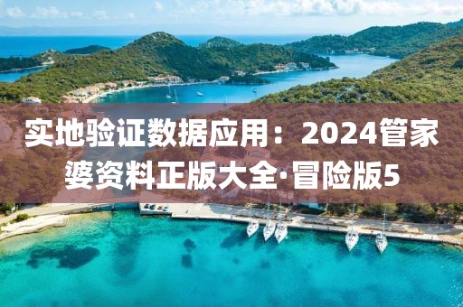 實地驗證數據應用：2024管家婆資料正版大全·冒險版5