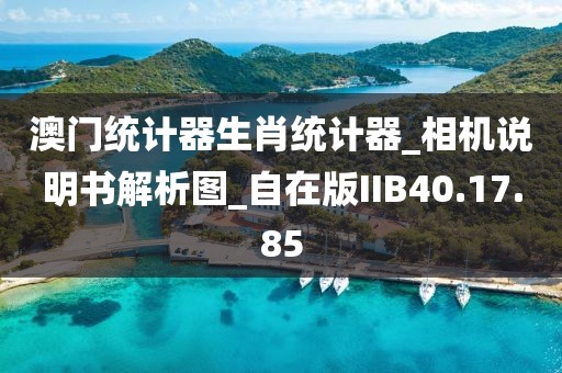 澳門統計器生肖統計器_相機說明書解析圖_自在版IIB40.17.85
