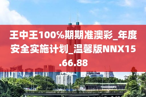 王中王100℅期期準澳彩_年度安全實施計劃_溫馨版NNX15.66.88