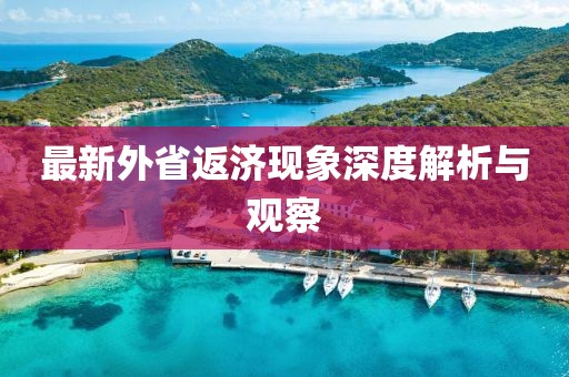 最新外省返濟現象深度解析與觀察