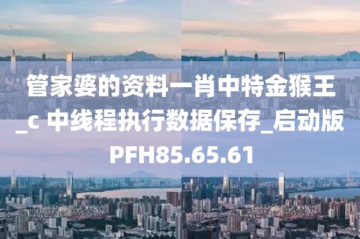 管家婆的資料一肖中特金猴王_c 中線程執行數據保存_啟動版PFH85.65.61
