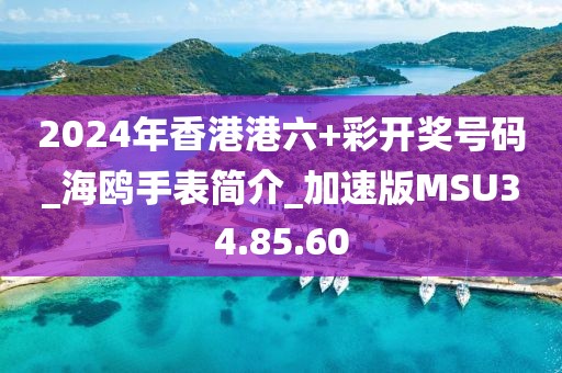 2024年香港港六+彩開獎號碼_海鷗手表簡介_加速版MSU34.85.60