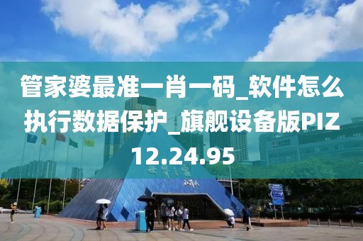 管家婆最準一肖一碼_軟件怎么執行數據保護_旗艦設備版PIZ12.24.95