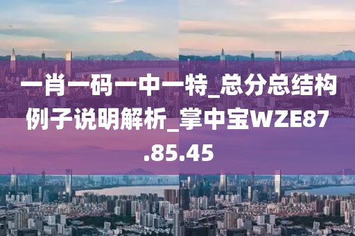 一肖一碼一中一特_總分總結構例子說明解析_掌中寶WZE87.85.45