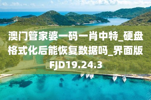 澳門管家婆一碼一肖中特_硬盤格式化后能恢復數據嗎_界面版FJD19.24.3