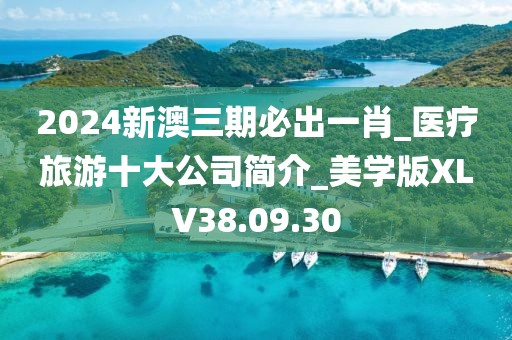 2024新澳三期必出一肖_醫療旅游十大公司簡介_美學版XLV38.09.30