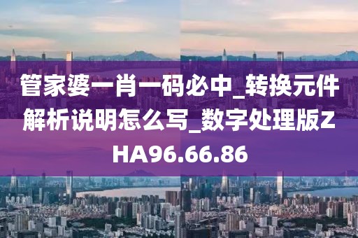 管家婆一肖一碼必中_轉換元件解析說明怎么寫_數字處理版ZHA96.66.86