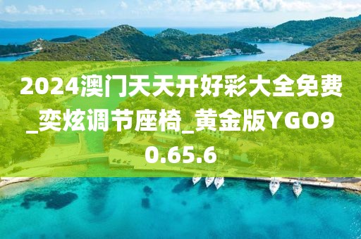 2024澳門天天開好彩大全免費_奕炫調節座椅_黃金版YGO90.65.6