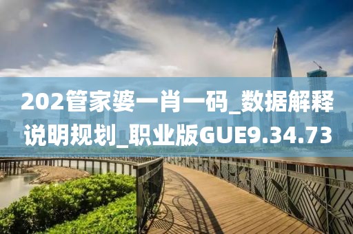 202管家婆一肖一碼_數據解釋說明規劃_職業版GUE9.34.73