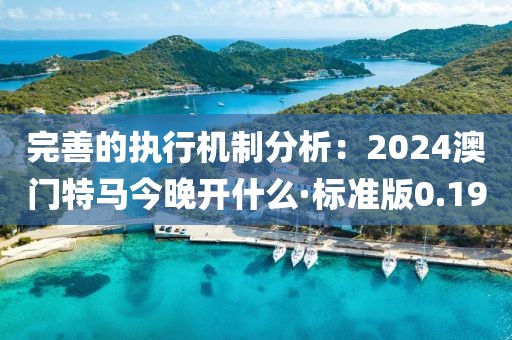 完善的執行機制分析：2024澳門特馬今晚開什么·標準版0.19