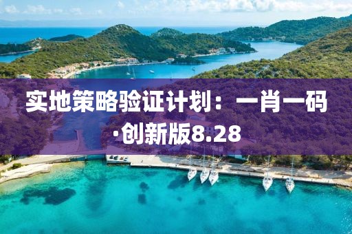 實地策略驗證計劃：一肖一碼·創新版8.28