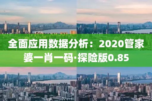 全面應用數據分析：2020管家婆一肖一碼·探險版0.85