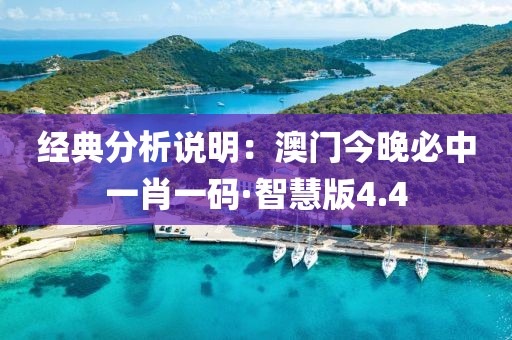 經典分析說明：澳門今晚必中一肖一碼·智慧版4.4