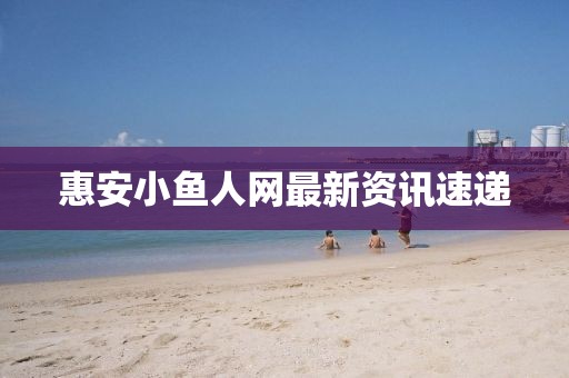 惠安小魚人網最新資訊速遞